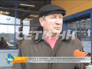 Невидимую городскую достопримечательность сегодня проверяли депутаты законодательного собрания