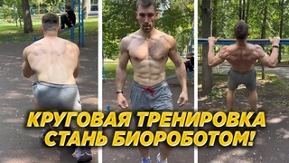 Круговая тренировка на всё тело от которой будешь в шоке (выносливость и владение телом)
