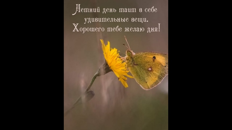 Какой бывает день пожелания