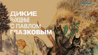 Дикие выходные с Павлом Глазковым. Памятник природы Дудергофские высоты