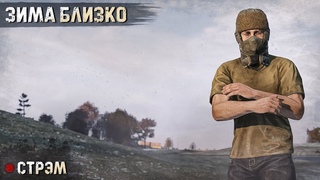 DayZ  | PERVAK | ВАЙП