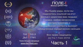 ЕДИНОЕ ПОЛЕ  революционный документальный фильм о сознании. ПРЕМЬЕРА! Часть 1. Режиссер: Ципи Раз