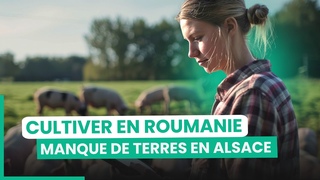 Ces agriculteurs dmnagent en Roumanie pour exploiter des terres non cultives | 750GTV