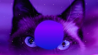 Retenya - Dynamic Flow (2024) 2