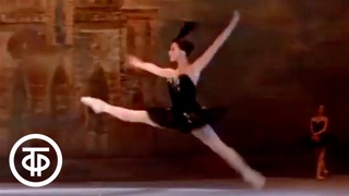 Чайковский. Па де де из балета Лебединое озеро. Плисецкая и Ковтун. Swan Lake. Plisetskaya, Kovtun
