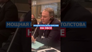 Мощная Речь Петра Толстова На ОБСЕ. #политика #толстой #закон #нация #россия #русский