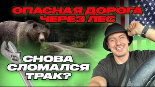 СНОВА СЛОМАЛСЯ ТРАК ! РАБОТА НА ПИКАП ТРАКЕ! ЧУТЬ НЕ СБИЛ МЕДВЕДЯ