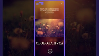 #БлагоВест  СИЛА ДУХА