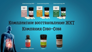 Комплексное восстановление ЖКТ | компания Сово-Сова
