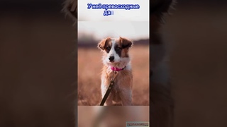 Мы ищем друг друга!