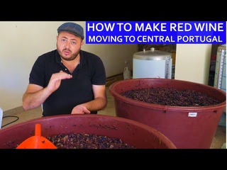 HOW TO MAKE RED WINE - OUR HOMESTEAD LIFE CENTRAL PORTUGAL