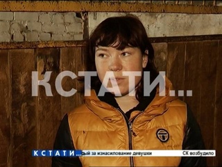 Внимание - пропал осёл!