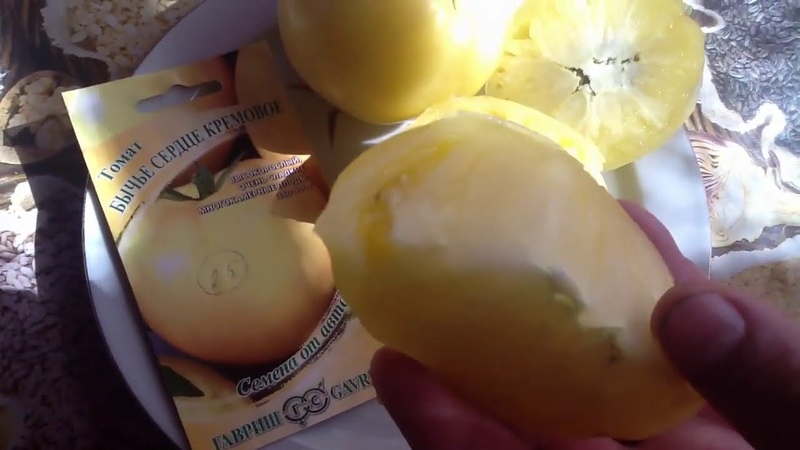 Томат гавриш сердце бычье шоколадное. Томат бычье сердце кремовое гавриш. Гавриш томат сердца трех. Томат бычье сердце кремовое. Бычье сердце янтарное гавриш.