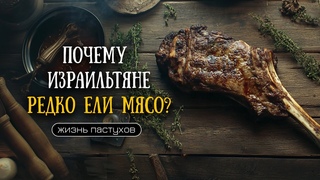 Как на самом деле жили библейские патриархи? Пастухи в Израиле