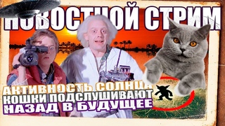 Реальный Гоблин / Назад в будущее / Активность Солнца / Кошки Подслушивают / Загадки Мозга СТРИМ