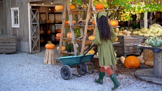 A Cozy Fall Day: Mountain Hike, Pumpkin Farm, and Seasonal Home Decor  ASMR Vlog