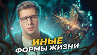Если Вселенная   компьютер, что на нём можно запустить | Безумные научные идеи #4