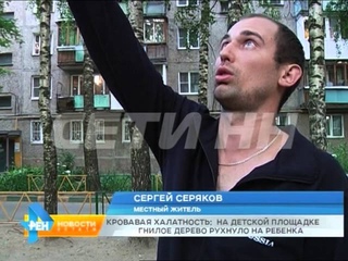 Из-за халатности коммунальщиков гнилое дерево едва не убило ребенка в Приокском районе