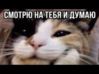 смотрю на тебя и думаю...