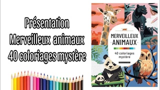 Prsentation : Merveilleux Animaux  40 coloriages mystre (Dessain &Tolra)