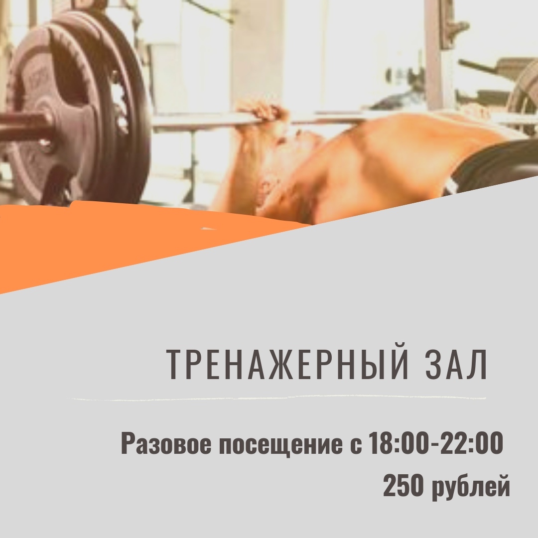 Разовое посещение фитнес центра. Разовое посещение спортзала. Разовое посещение спортзала СССР. Зал идеал Абакан.