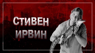 ИЗВЕСТНЫЙ ВСЕМУ МИРУ ТЕЛЕВЕДУЩИЙ ПОГИБ ОТ УДАРА СКАТА | ИСТОРИЯ СТИВЕНА РОБЕРТА ИРВИНА | #crime 22