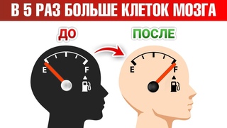Как ускорить восстановление нервных клеток в 5 раз