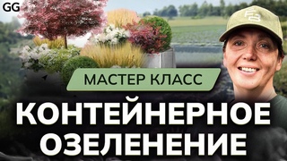 Контейнерное ОЗЕЛЕНЕНИЕ САДА! Мастер класс: кашпо, колористика растений, земля и правильный полив