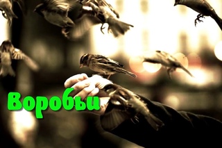 Рассказ о воробьях детям
