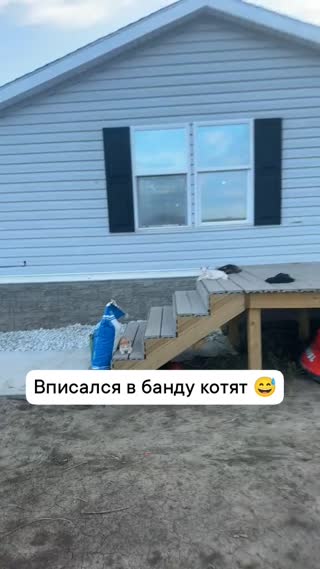 Клипы Поехавший эстет