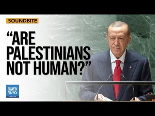 What's holding us back from stopping Netanyahu: Turkish President Erdogan  | Dawn News English
