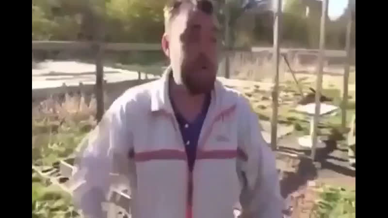 Ваще пахую. Димон заминированный тапок гифка. Coub заминированный тапок. Мужик пахую. Ваще пахую Алиханов