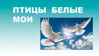 птицы белые мои никольский. клип песни птичка. ноты песни птицы белые. воскресенье птицы белые слушать бесплатно в хорошем качестве. белые птицы остров могил.