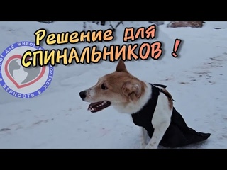 У Перси есть новости. Первый решительный шаг к новой жизни сделан!