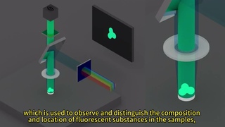 XYZ Piezo Scanning Stage used in Fluorescence Microscopy for Observing Cellular Structure.
