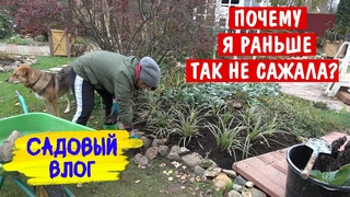 Только снег меня успокоит! Делю, сажаю, пересаживаю и переделываю цветник
