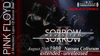 Pink Floyd - SorrowRevisited EditEXTENDED UNRELEASED VERSION  5.1 REMASTEREDDSOT - Nassau 1988
