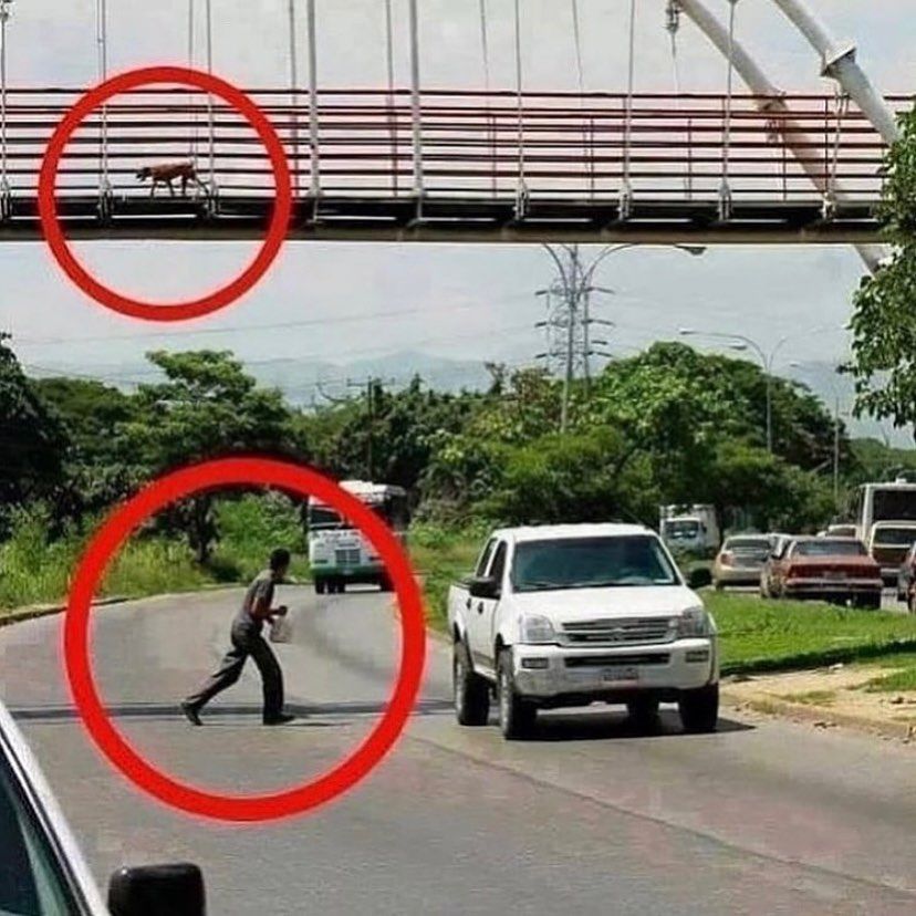 И как это понимать, люди