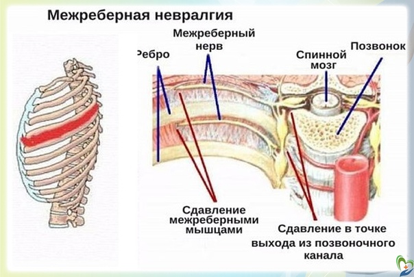 Post #5359 - Секреты здоровья (@healthruse)