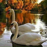 Марина Филичева | Раменское