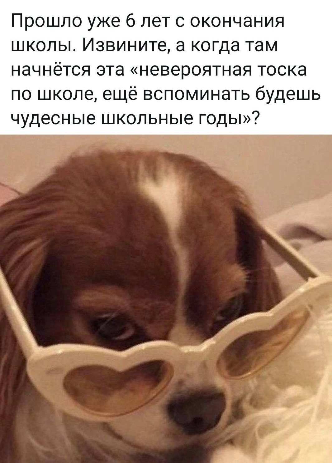 Смешные фото 2022