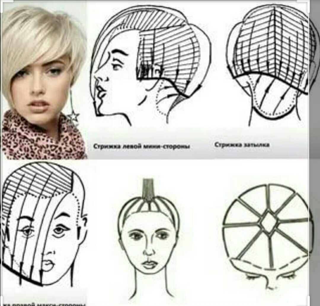 Схема стрижки градуированное каре