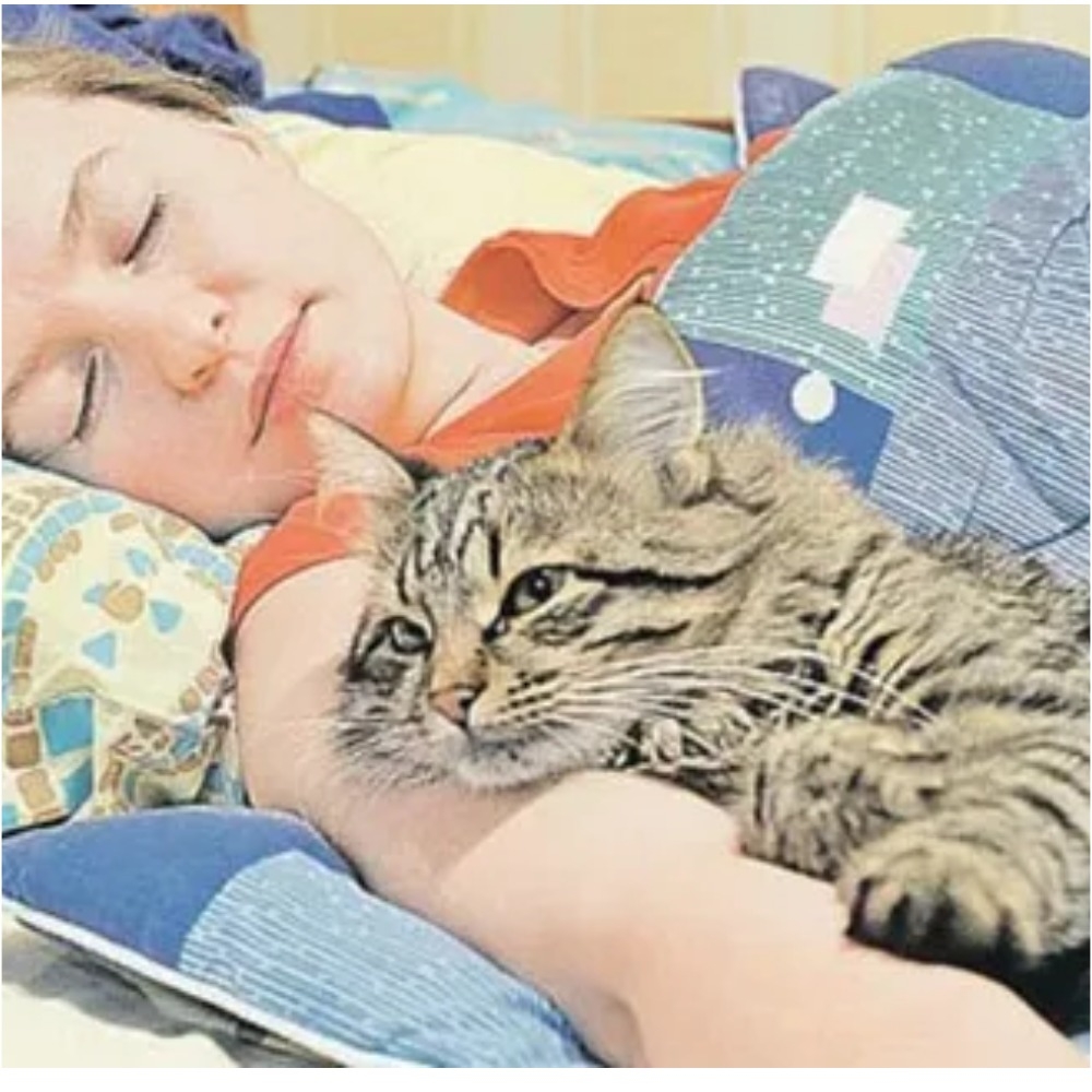 Кот спит с хозяйкой