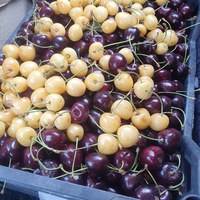 Акиф Бефаи