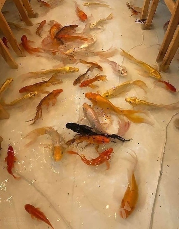 Во вьетнамском городе Хошимин открылось необычное...