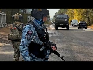 Штурм позиций ВСУ СВО #49