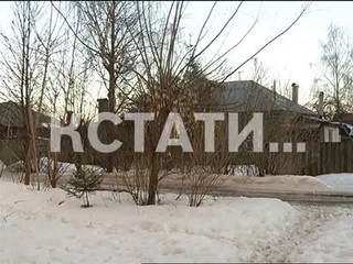 Домашняя кошка задушила двухмесячного ребенка