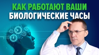 Что такое циркадные ритмы Цикл сна и бодрствования. Ответ на вопрос
