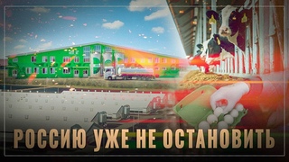 АПК России: почему ввоз миллиона тонн пальмового масла  это хорошо