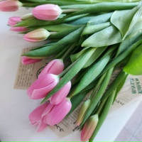 Анастасия Ахмедова | Нижний Новгород